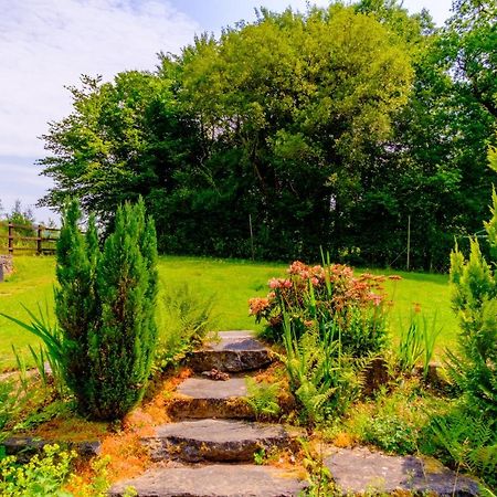 Lakeside Cottage カーマーゼン エクステリア 写真