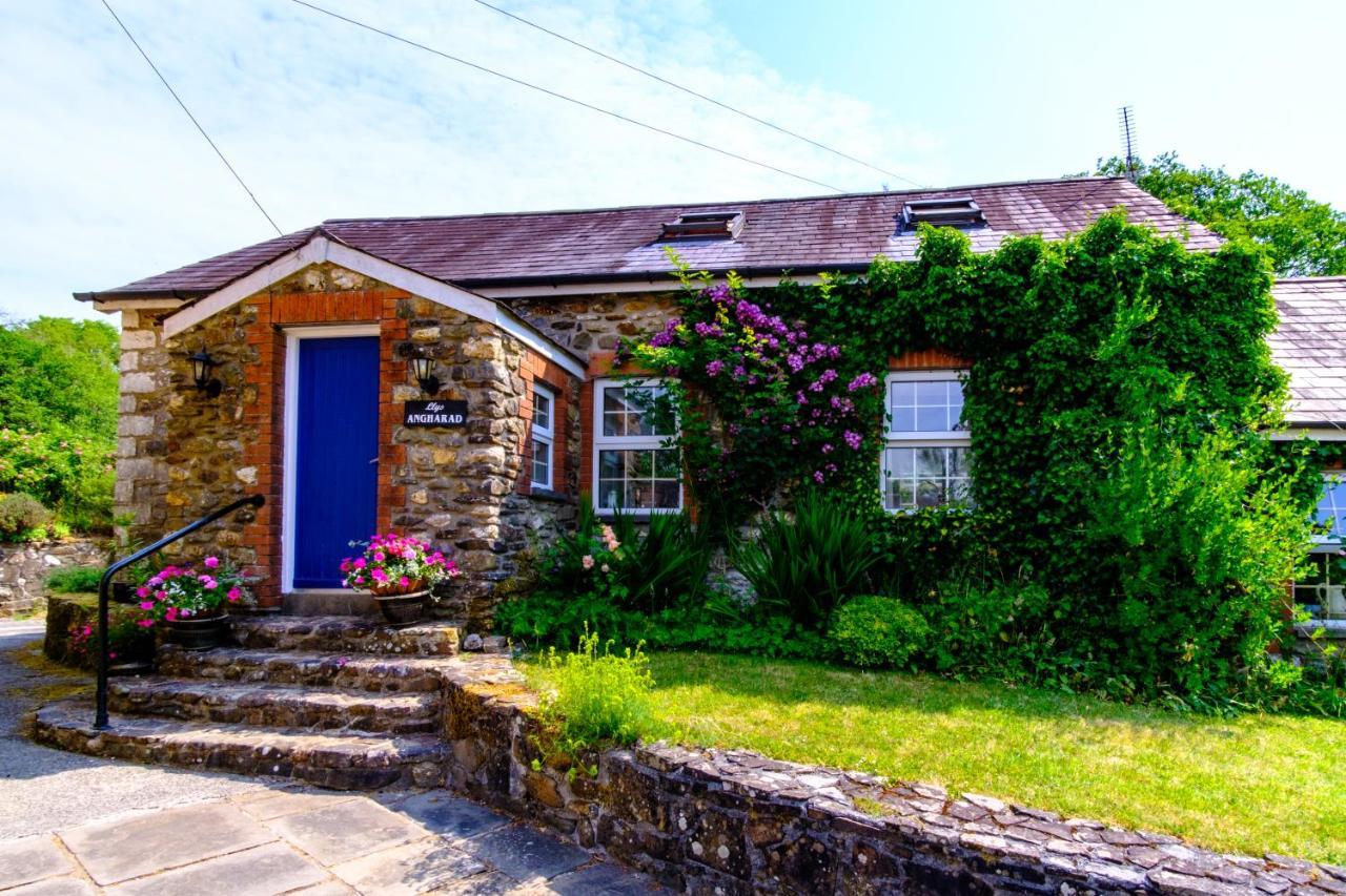 Lakeside Cottage カーマーゼン エクステリア 写真